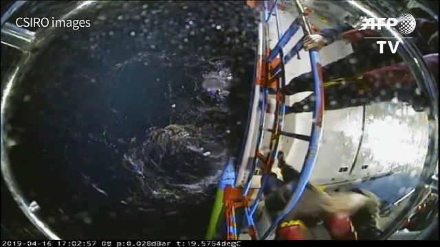 Australian WWII ship sunk by Japanese submarine found