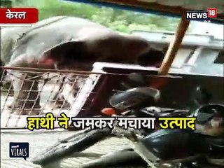 VIDEO: गुस्साए हाथी ने मचाया उत्पात, ऐसे तहस नहस की गाड़ियां