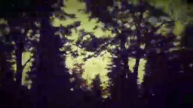 Cistern by Caalamus from the Album NanoJazz