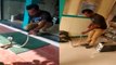 King cobra rescued from ATM centre in Tamil Nadu | Oneindia News