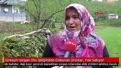Giresun Isırgan Otu İpliğinden Dokunan Ürünler, Yok Satıyor