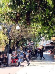 Cadde Üzerindeki Ağaca Oğul Veren Bal Arıları Tedirgin Etti