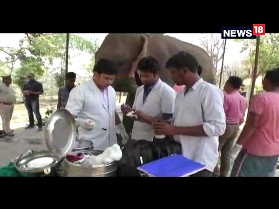 रामनगर: हथिनी के बाएं पैर का इंफेक्शन दाएं पैर में पहुंचा, मौके पर डॉक्टरों की टीम