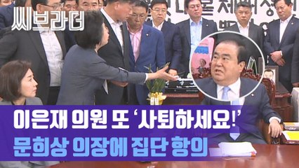 이은재 의원이 또...! 문희상 의장에 ‘사퇴하세요!’ 자유한국당 의장실 집단 항의 [C브라더]