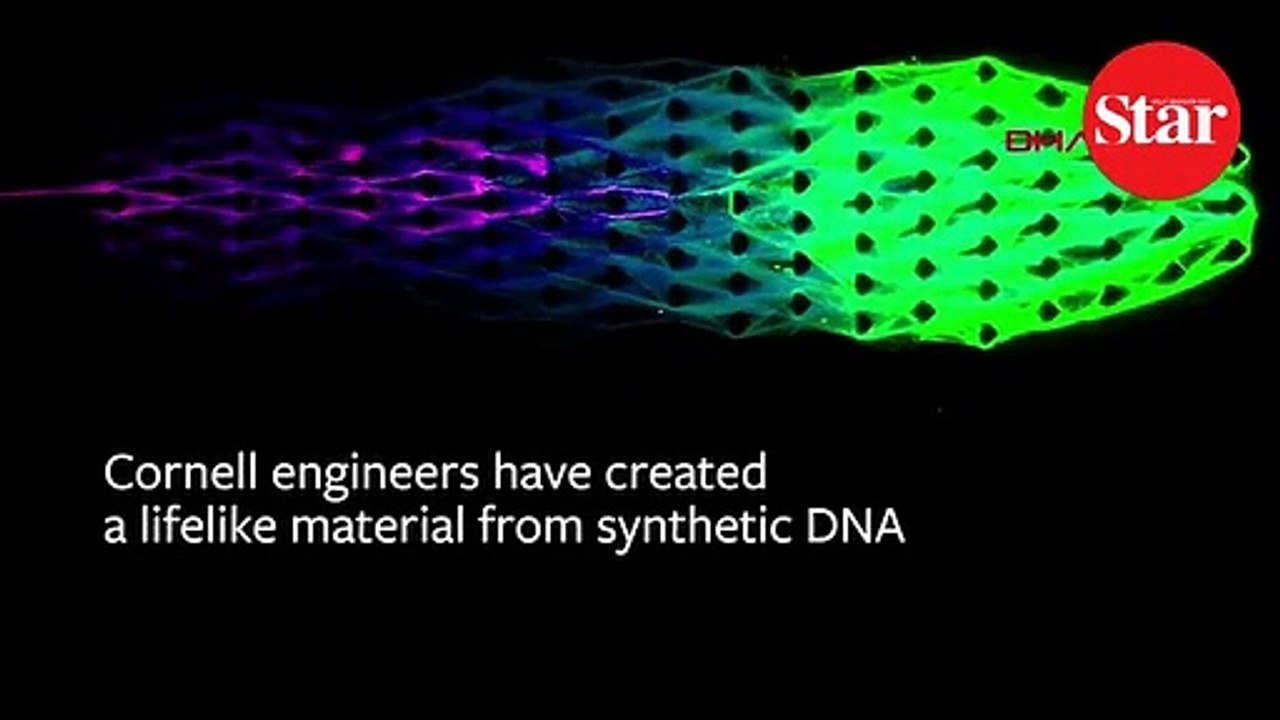 Bilim insanları geliştirdi!; Terminatör filmlerinin kabusu Skynet gerçek mi oluyor?