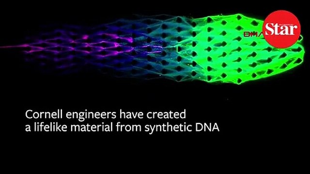 Bilim insanları geliştirdi!; Terminatör filmlerinin kabusu Skynet gerçek mi oluyor?