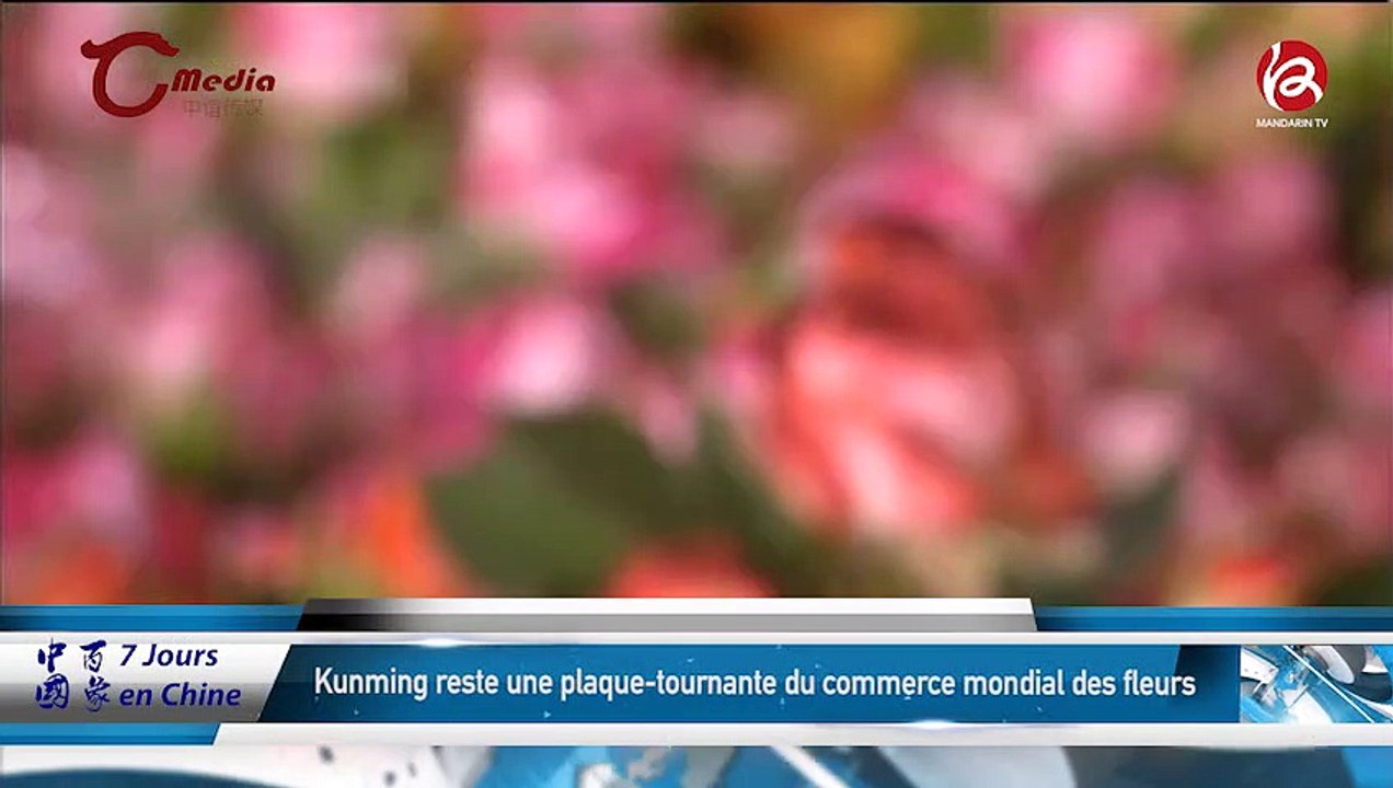 24042019_7joursenchine_web