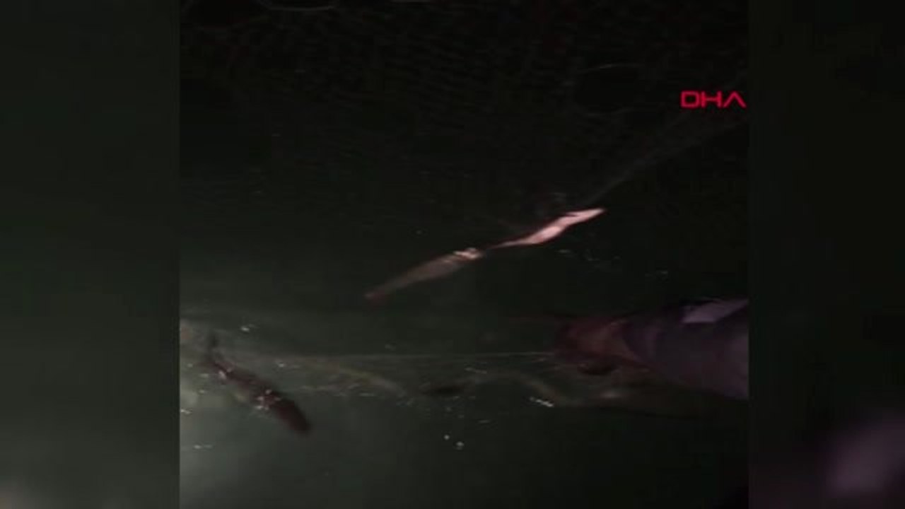 Van Gölü'nde Kaçak Avlanan 250 Kilo İnci Kefali Ele Geçirildi