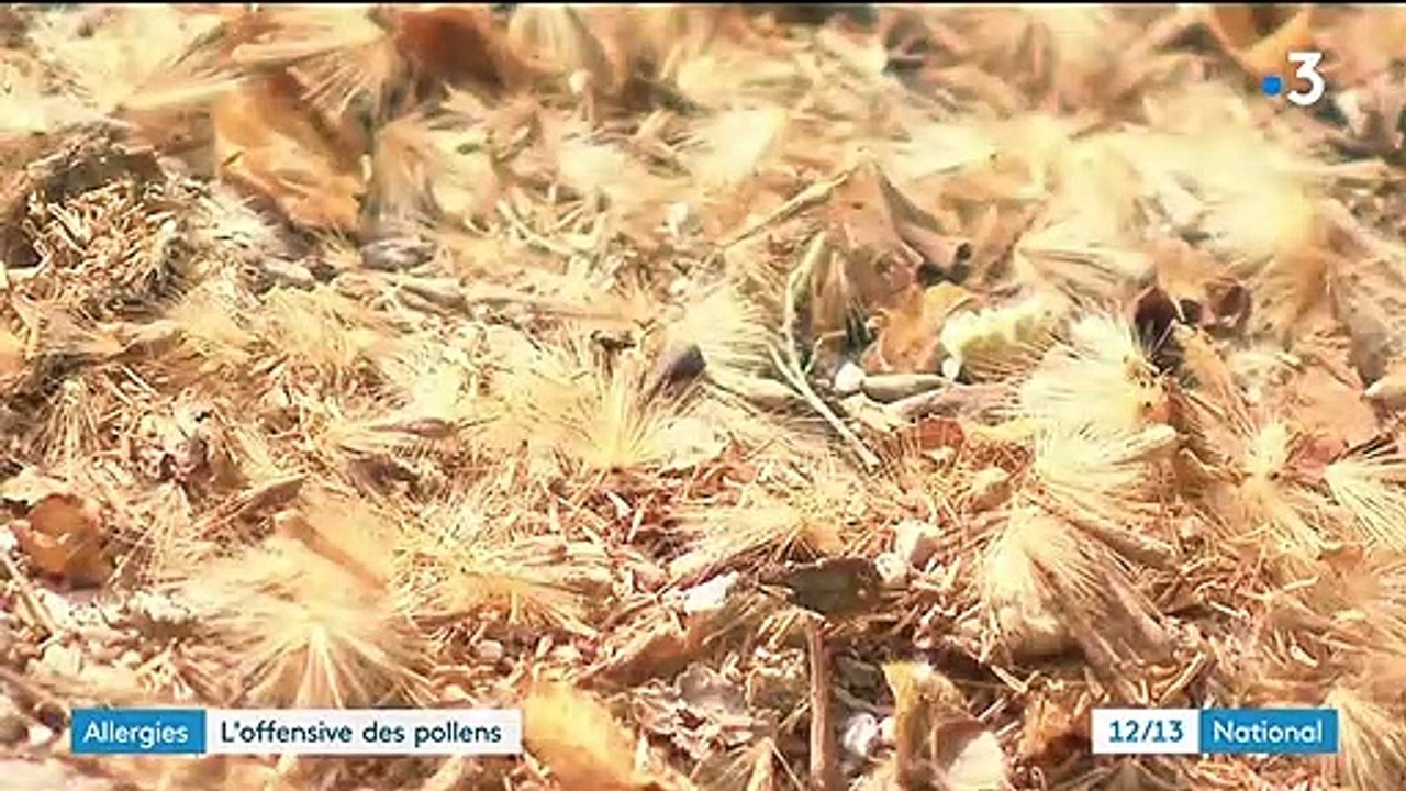 Santé : des Français de plus en plus allergiques aux pollens