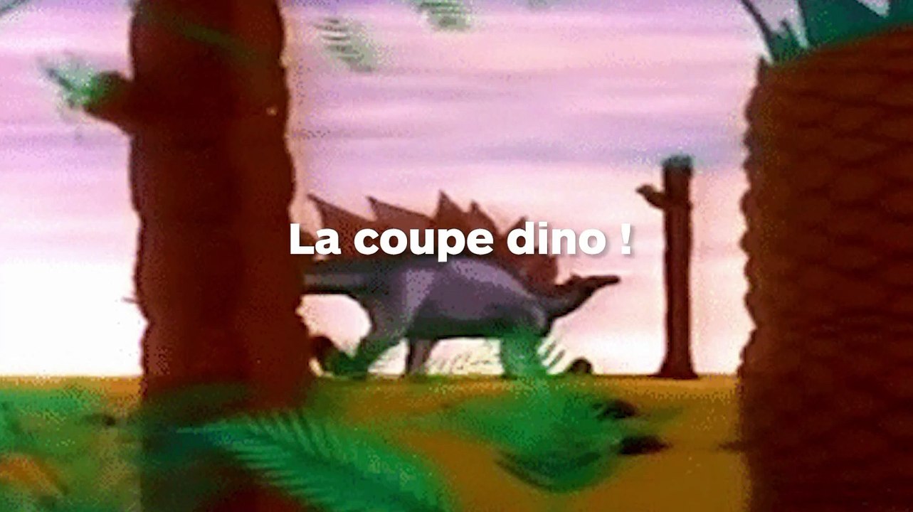 Découvrez la tendance de la coupe dino pour votre chat !