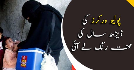 Year-long hard work of polio vaccinators pays off in Peshawar