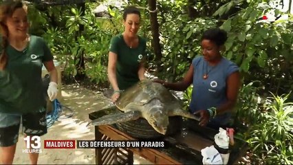 Feuilleton : Maldives, un paradis fragile (3/5)