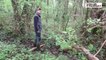 VIDEO. A Amuré, l'ancien maire défend la tourbière et ses arbres