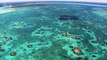 Have We Finally Solved The Riddle Of Coral Reef Halos?