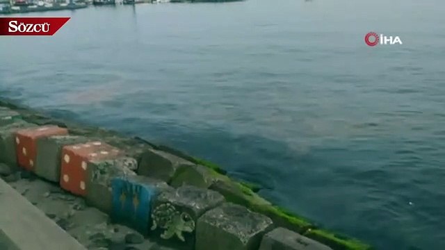 Sahil turuncuya büründü