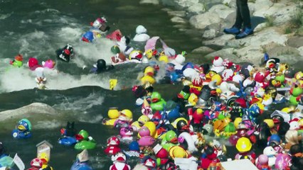 2° GARA delle PAPERE - 2. ENTEN RENNEN (Merano - Meran)