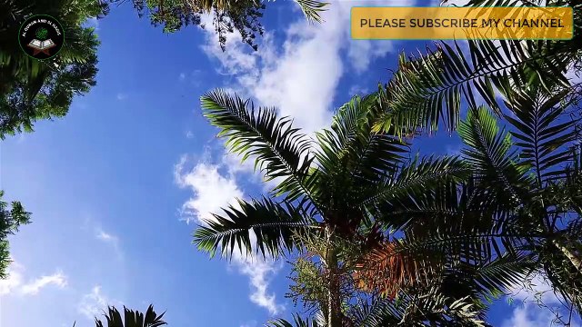 Mahe romjaner best gojol 2019 || অসাধারণ একটি গজল || new islamic gojol 2019