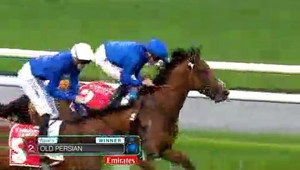 온라인경마사이트주소 ▤ ( R A C C５５。ｃｏｍ) ː 고배당경마예상지