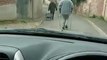 Une femme en béquilles marche au milieu de la route et l'empêche de passer !