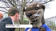 Local Legend - Giles the Otter!