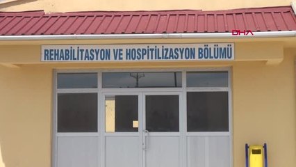 Van Yaban Hayvanları, Rehabilitazasyonun Ardından Doğal Yaşama Salınıyor