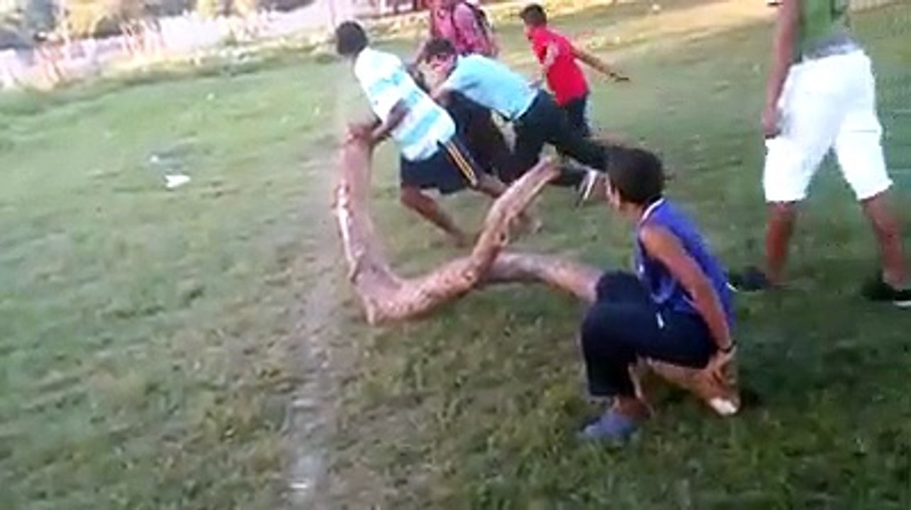 Fun kids