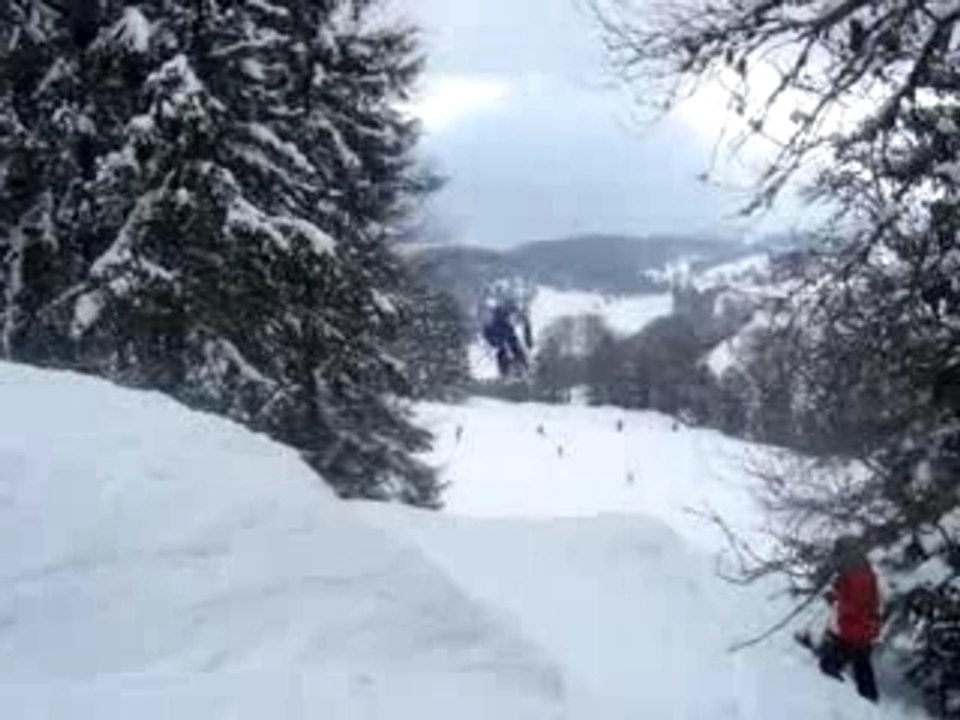 ski