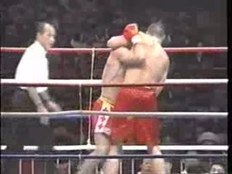 Andy Hug Vs. Peter Aerts