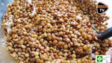 Conseil-Santé : les vertus des lentilles