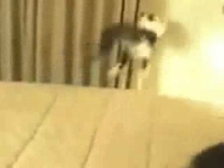 Ultimate Ownage n°6