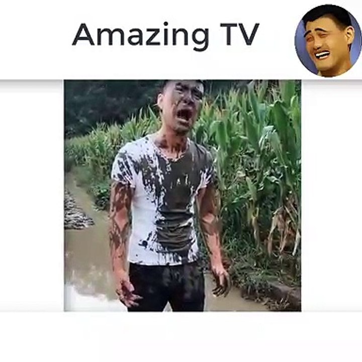 Funny videos, interesting moments 6