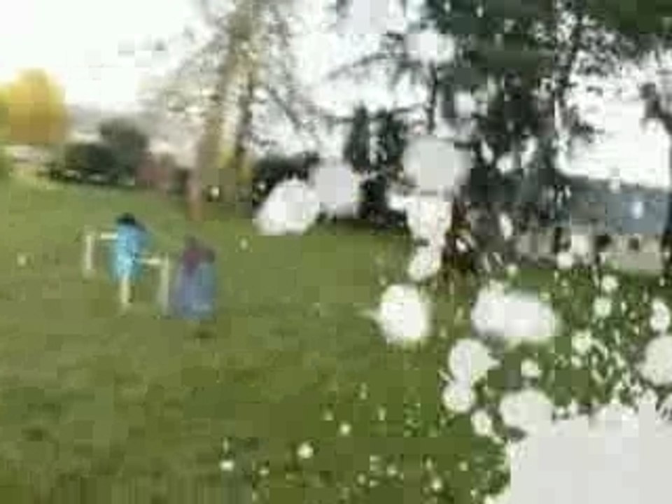 Muvee avec pleinde vidéos  cross dressage et cso