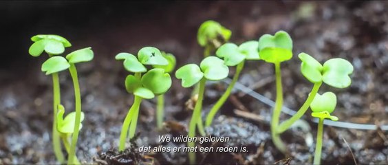 THE BIGGEST LITTLE FARM Film Trailer