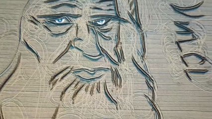 트랙터로 그린 다빈치 초상화...오리 구출 대작전 / YTN