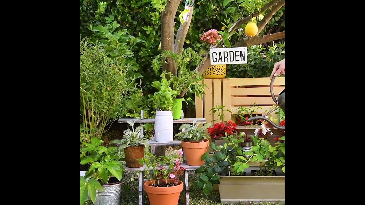 20 Gardening Hacks That Will Blow Your Mind!! Easy DIYs and Life Hacks by Blossom