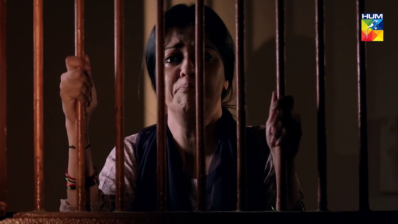 Bhook Teaser 1 | HUM TV Drama