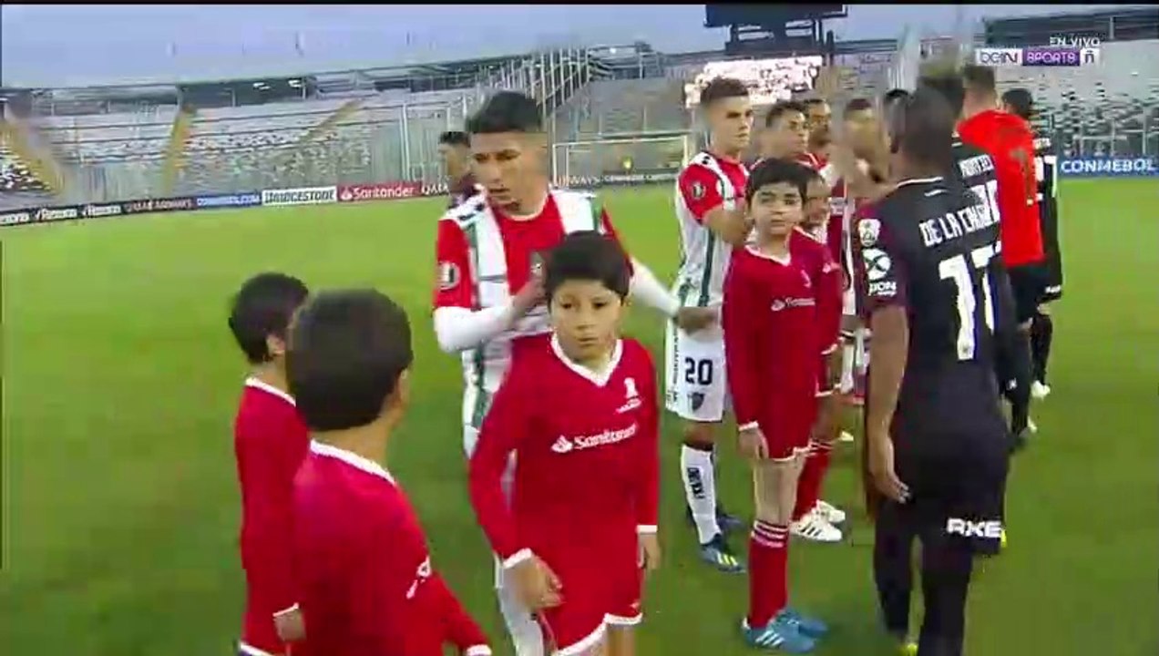 Palestino vs River Plate