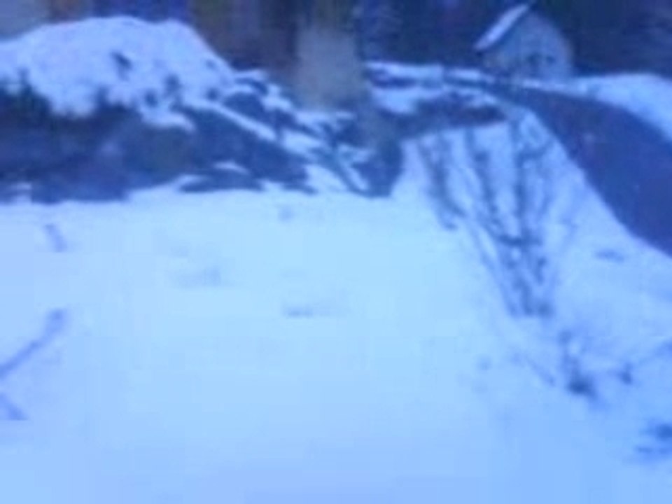 MOV01149