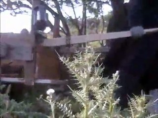 undertaker promo from the graveyard