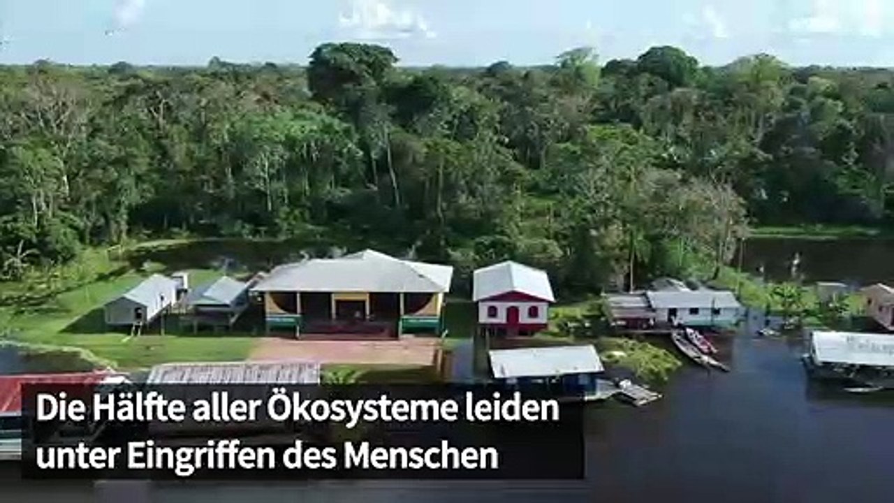Uno warnt vor massen-artensterben