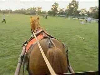 BAYOU & KITO A LA FETE DE MON PERE (PART I)