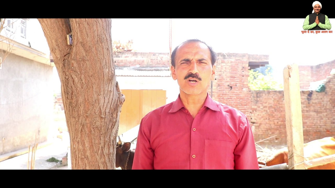 3000 मुर्गी से शुरू करने में कितना खर्चा कितनी कमाई|Broiler Poultry Farming+Shed Design