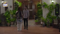 Do Bol Episode 22 - 24th April 2019 - ARY Digital Drama