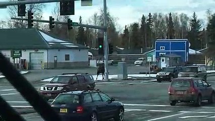 Moose Casually Crosses Busy Street