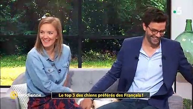 Dans La quotidienne sur France 5, une chiot perturbe le direct et mange la robe de Maya Lauqué - Regardez