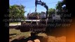Tree Removal Services | Sydney Urban Tree Services