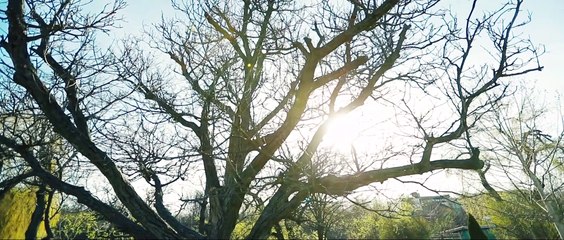 Ticy si Laura - Eu te-am iubit