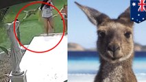 Kangguru serang para model Australia - TomoNews