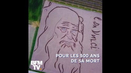 Il dessine un portrait géant de Léonard de Vinci à l’aide... de son tracteur