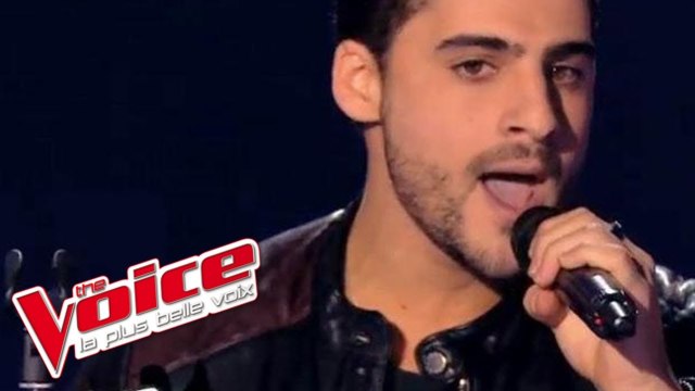 The Script – The Man Who Can't Be Moved | Jérémy Ichou | The Voice France 2014 | Blind Audition